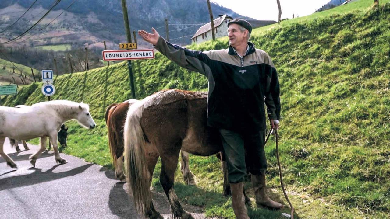 Un berger deux perchés Lassalle