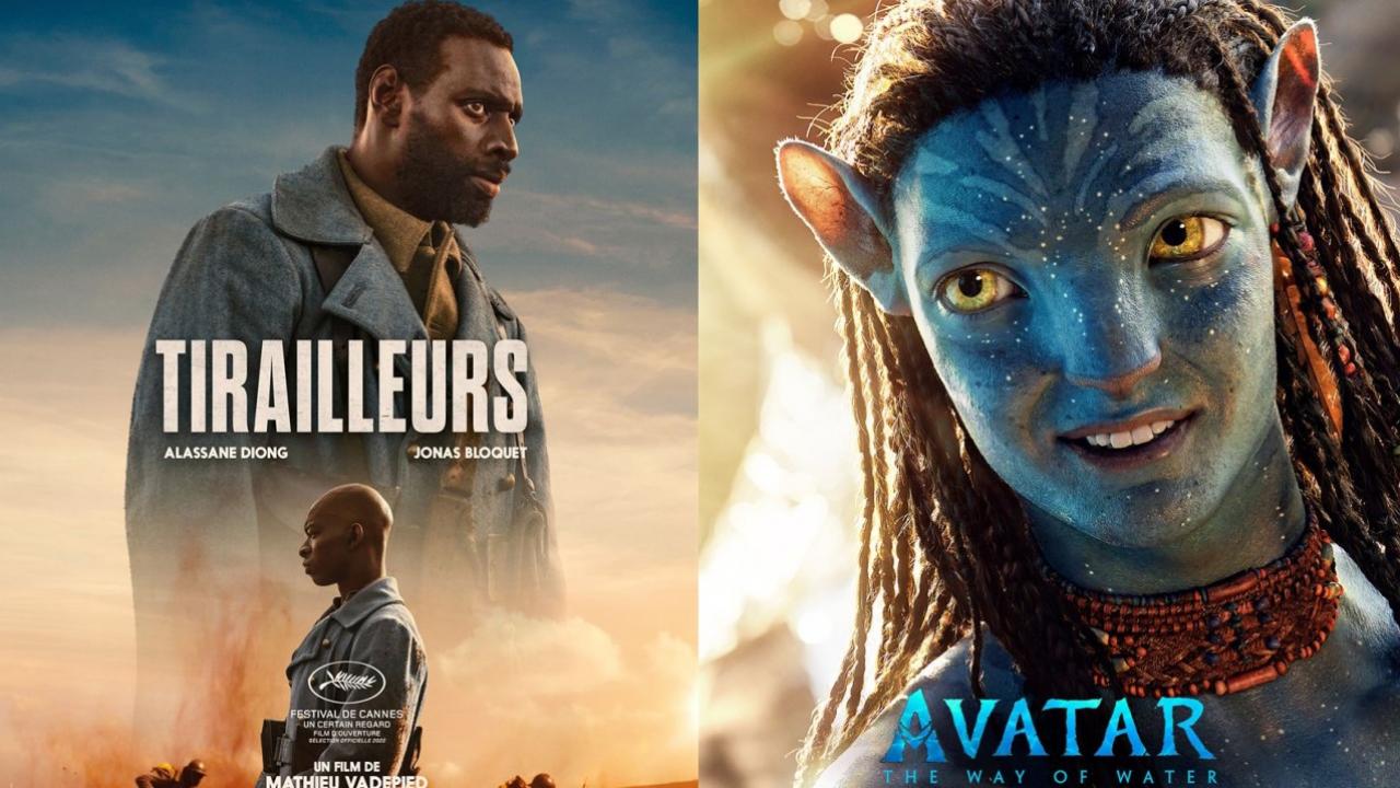Le box-office français reste en forme grâce à Avatar 2 et Tirailleurs