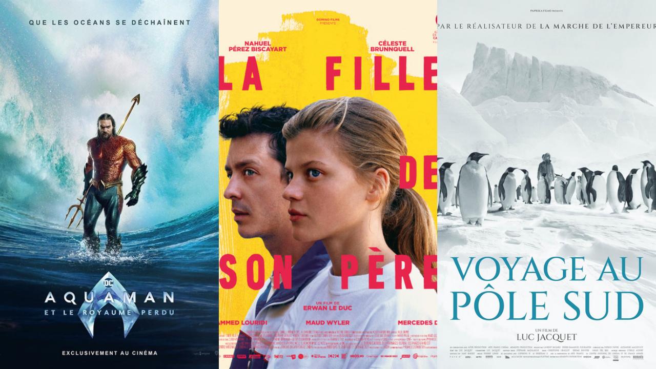 Affiches Films à l'affiche mercredi 20 décembre 2023