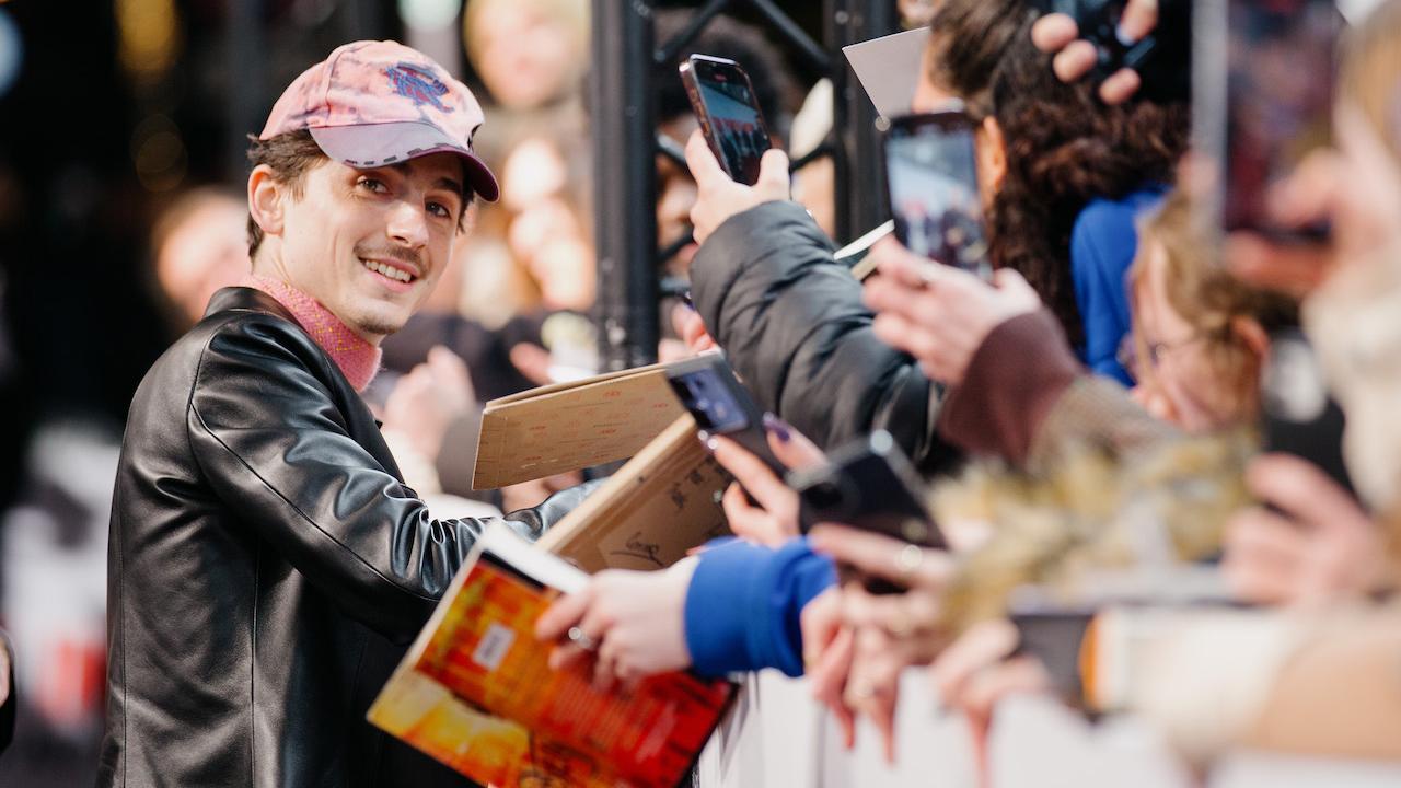 Timothée Chalamet à la première d'Un parfait inconnu à Paris