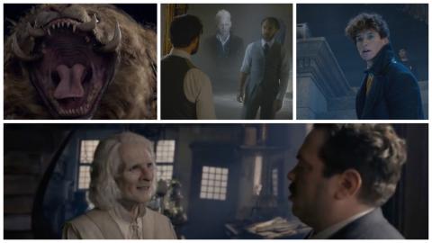 Les Animaux Fantastiques Les Crimes de Grindelwald