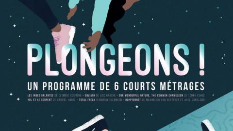 Affiche Plongeons