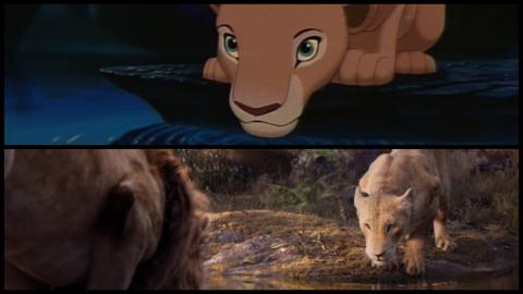 Le Roi Lion 1994 vs. 2019 : Nala adulte