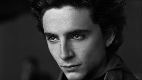 Timothée Chalamet / Dune