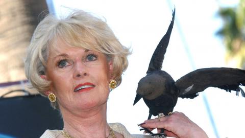 Tippi Hedren "rejoue" Les Oiseaux en recevant son étoile sur le Hollywood Boulevard, en 2003