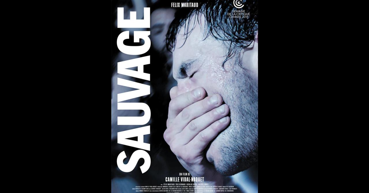 Affiche sauvage