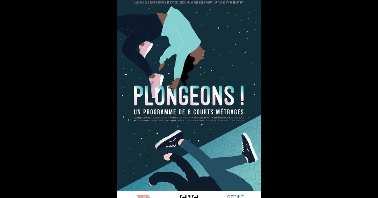 Affiche Plongeons