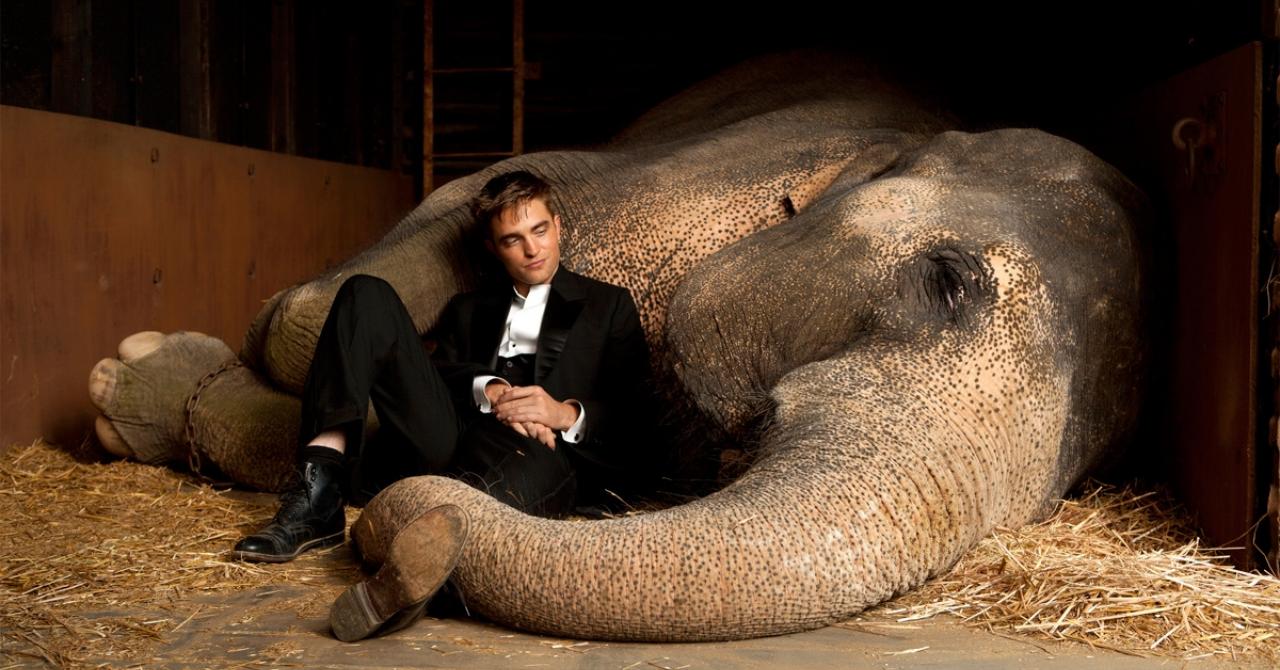 Water for Elephants