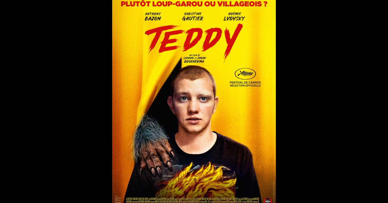 Affiche Teddy