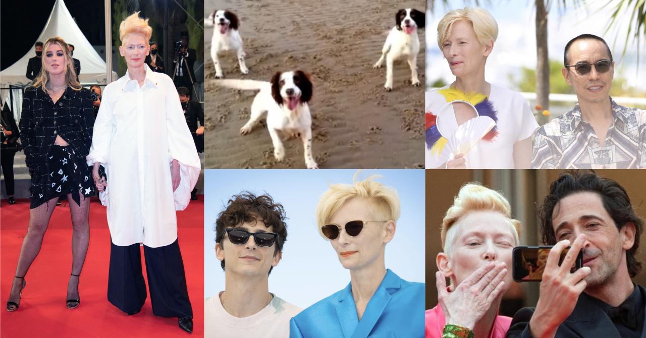 Tilda Swinton finit Cannes en beauté en recevant la Palm Dog