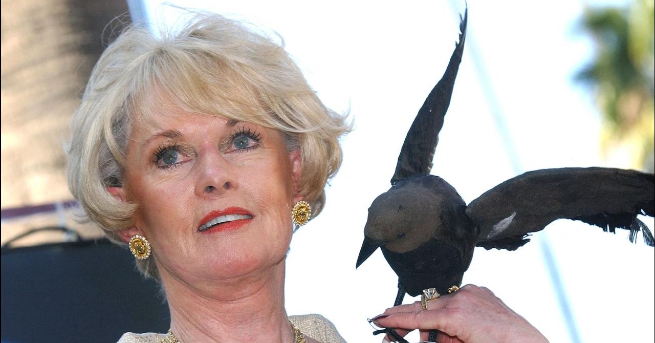 Tippi Hedren "rejoue" Les Oiseaux en recevant son étoile sur le Hollywood Boulevard, en 2003