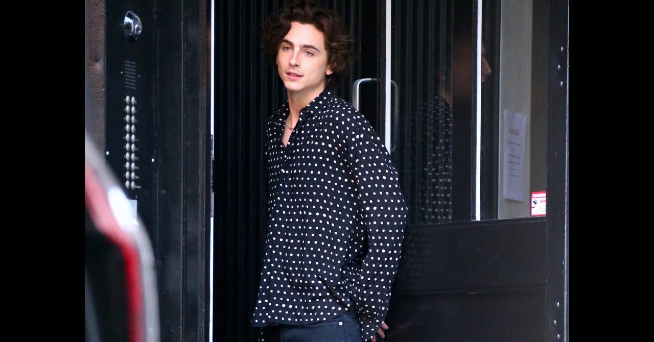 Pub Scorsese Chalamet